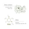 AIDA Mugwort 90 Pore Ampoule Toner
