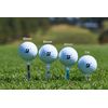 Bridgestone Golf Magnet Tee FW GAGMGTF 2023 Model