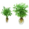Soil Moist Flower & Garden Plus Mycorrhizal Soil Additive