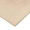 Custom Size 3/4'' Thick Maple Plywood (12" X 24" (1 PC))