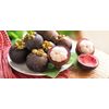 Antioxidant Elixir - MANGOSTEEN COMPLEX - Premium Defense - 1B 60 Caps