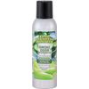 Smoke Odor Exterminator 7 Oz Spray Cinnamon Apple