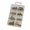 120 Piece Wood Screw Assortment