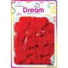 Dream World Self Hinge Barrette Daisy Red 60 Piece Pack BR2501RD