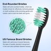 Everystep Replacement Toothbrush Heads Compatible with AquaSonic Black Series 10 Pack for Vibe Series Black Series pro, and for Duo Series pro Electric Toothbrush Black