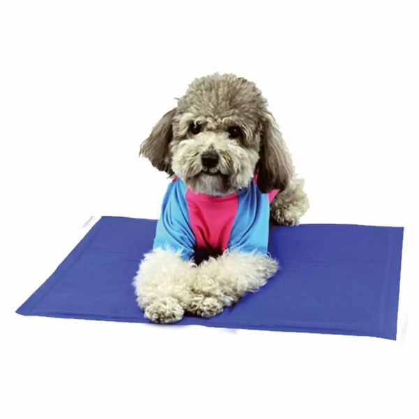 Kandall Cooling Mat for Pets, Large, Ice Pack
