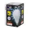 Takagi Earth Man LED Bulb, 30W, LL-30A