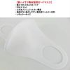 GUARD MASK White Washable Guard Mask, 3 Pack, Regular Size, Pollen Disease, Dust, Great Gift Idea