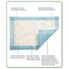Mesorb Dressing 20cm x 25cm (x10)