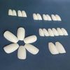 Carufin 24 Pieces White Matte False Nails Stickers Press Fake Nails Ballet Artificial Nails for Women and Girls