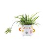 Cute  Face Planter Smiley Succulent Pot, 3 Inch Ceramic Plant Pot