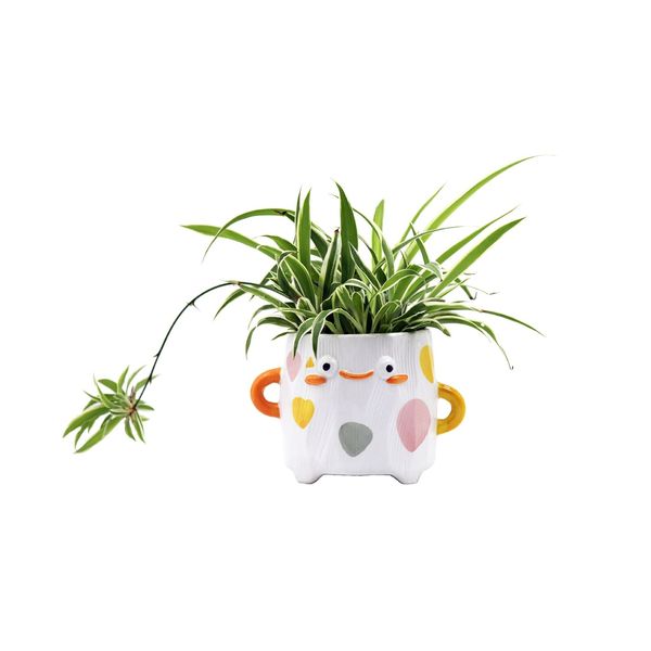 Cute  Face Planter Smiley Succulent Pot, 3 Inch Ceramic Plant Pot