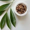 Kola Nut Capsules | Pure | Cola Acuminata | 600mg | Energy Boost