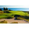 007 Creeping Bentgrass Seed 80,000 seeds