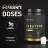 Kaged Creatine Monohydrate Elite - High Absorption Creatine with MAXCatalyst - Unflavored Powder - 60 Servings