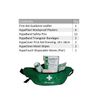 Small Personal Issue First Aid Kit - HSE Compliant (Bum Bag)