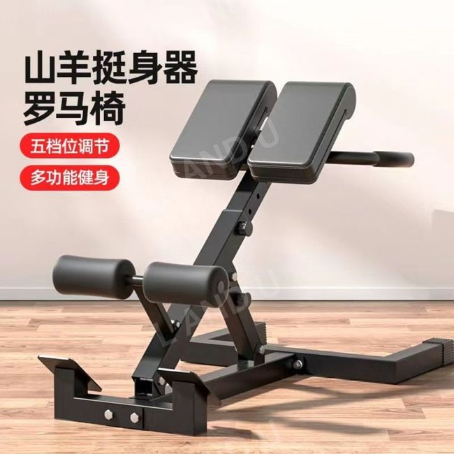 Side Back Extension Foldable Indoor Lumbar Strengthening Exercise Equipment Spinal Rehabilitation Therapy Machine, Basic Foldable Roman Chair