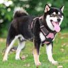 Pink Adjustable No Pull Reflective Dog Pet Harness Breathable Mesh with Handle