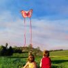 Butterfly Kite