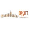 Ossat Form & Hold Wax OSS7834