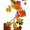 Fall Leaves Garland with Warm White Lights Battery Operated