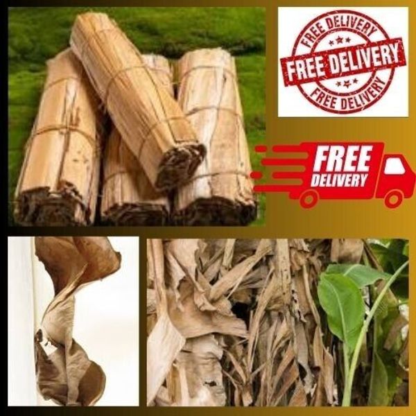 Dried Organic BANANA LEAVES Anti bacteria pet supplies care fish Aquarium 90g