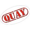 Quay Violin Woodcraft Construction Kit