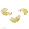 Beverly 50277 61 Piece Crystal Puzzle Cat Bass