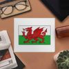 2 x 'Welsh Flag' Microfibre Lens/Glasses Cleaning Cloths (LC00007887)