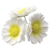 JEM 8-Petal Daisy Cutter 50 mm