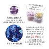 Nail Glitter Hologram Hexagon 24 Color Set