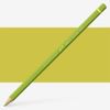 Caran d'Ache : Pablo Coloured Pencil : Light Olive 245
