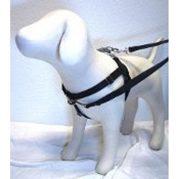 Freedom No-Pull Harness and 4-Configuration Training Leash Package (1" Wide Medium (23"-28"), Black with Silver)