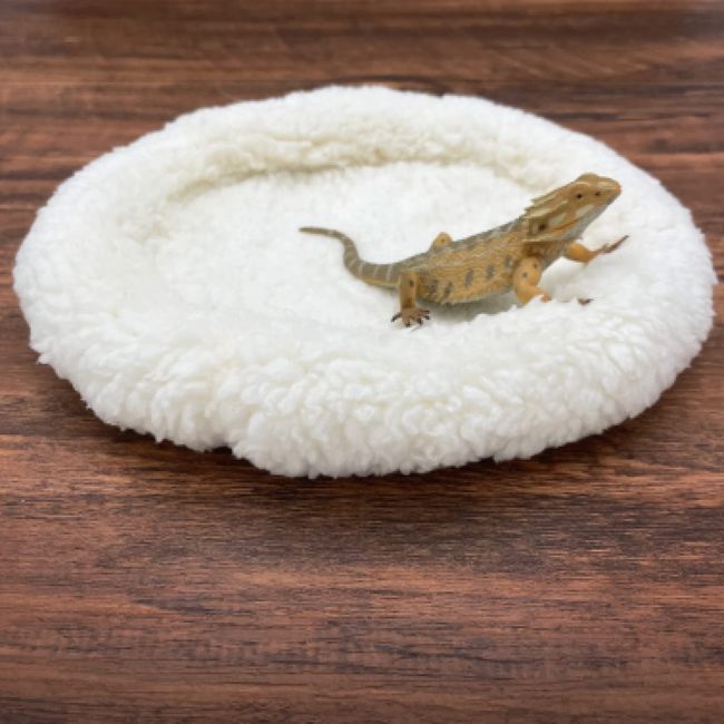 Lozerne Ultra Soft Cushion for Small Pets - Cozy Plush Sleeping Bag for Bearded Dragon, Lizard, Leopard Gecko, Reptile and Other Small Animals; Premium Bearded Dragon Tank Accessories