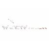 Noch 15774 Swans and ducks Landscape Modelling