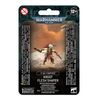Warhammer 40K - T'AU Empire - KROOT Flesh Shaper