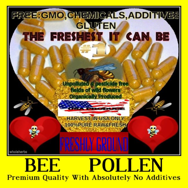 HONEY BEE POLLEN With Absolutely No Additives Raw USA Concentrated 100 V Capsule