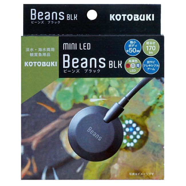 Kotobuki Kotobuki Mini LED Beans, Black