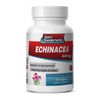 Immune Support Capsules - Echinacea Powder 400mg - Echinacea Elderberry 1B