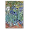 Printed - Tamper Resistant Electrical Outlet with matching Wall Plate - Van Gogh: Irises
