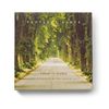 Provence Sante PS Soap Linden, 2.7oz 4 Bar