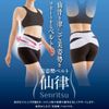 Beautiful Posture Belt, Senri Gray, M-L Size