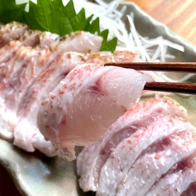 Nodoguro Sashimi Nagasaki Prefecture Brand Red Eye Fishing Freshness Fat Ride Best Shop Owner Carefully Selected Tuna House Honpo