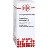 DHU Rosmarinus officinalis D3 Dilution, 20 ml Lösung