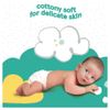 Fred & Flo Size 1 Nappies NewBorn 50 Pack