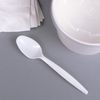 Karat PP Plastic Medium-Heavy Weight White Tea Spoons Bulk Box -1,000 ct, U2013W