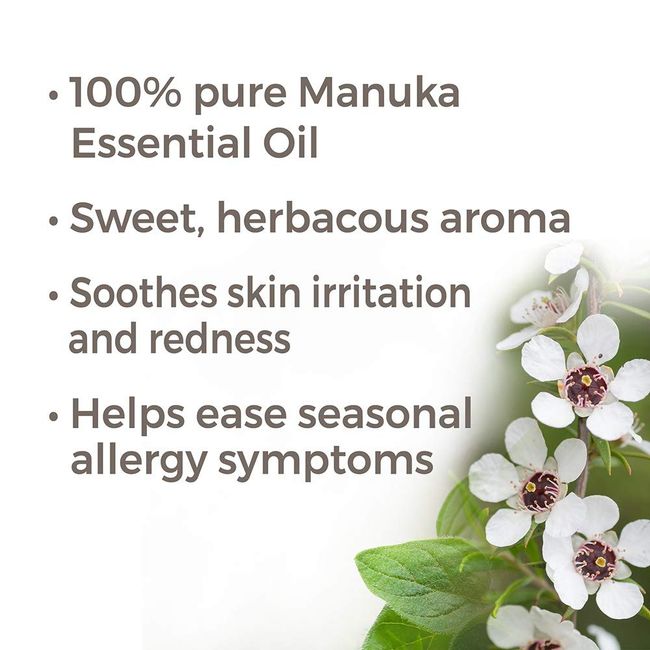 Plant Therapy Magnolia Flower Essential Oil 5 mL (1/6 oz) 100