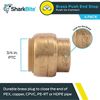 SharkBite /CASH ACME U518LFA4 4-Pack 3/4" end stop, 3/4 inch, 4 count