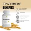 Spermidine Natural Supplement, Plant-Based, Wheat Germ Extract