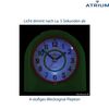 Atrium A921-3 Quartz Alarm Clock